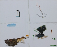 Nature 5